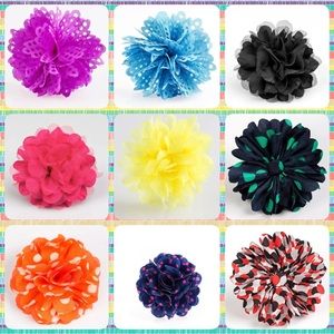 Paparazzi Hair Clips